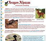 Aragon Alpacas